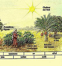 LE CALENDRIER HÉBREU - KJF